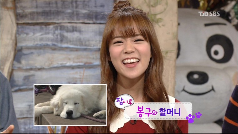 131117 동물농장컷.zip.jpg