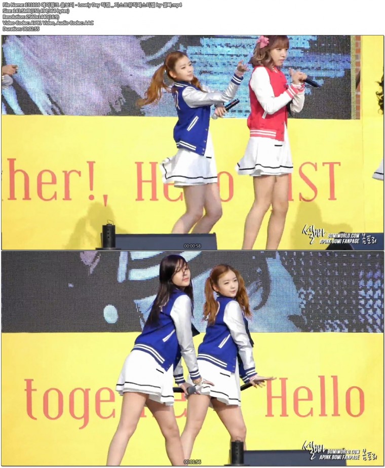 131116 에이핑크 윤보미 직캠 _ 지스트뮤직페스티벌 by 셀빠04.jpg