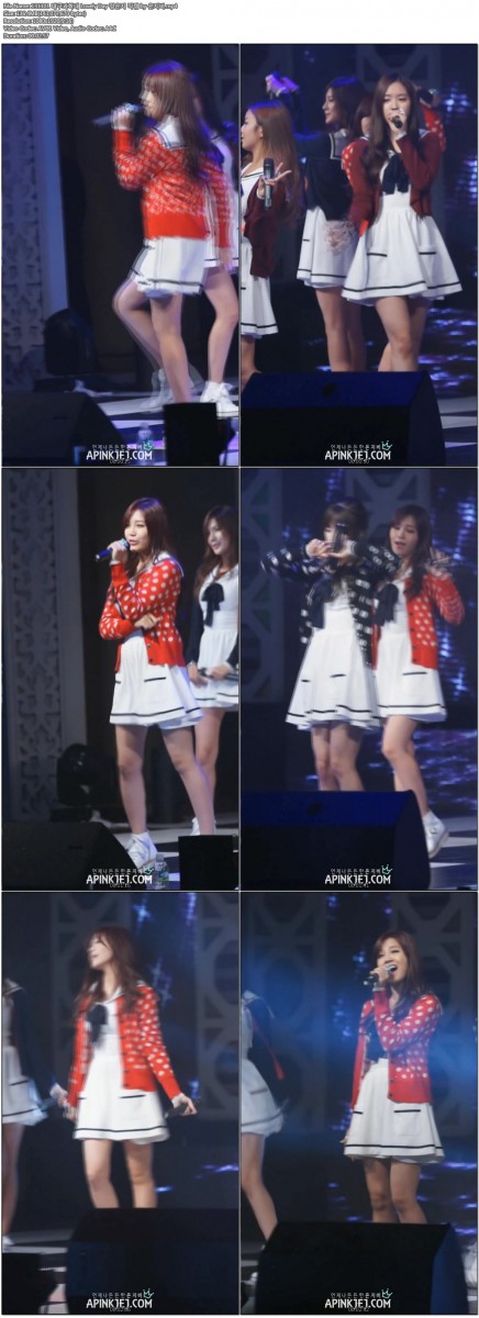 131101 대구과학대 - Apink(정은지) 직캠 by 은지비02.jpg