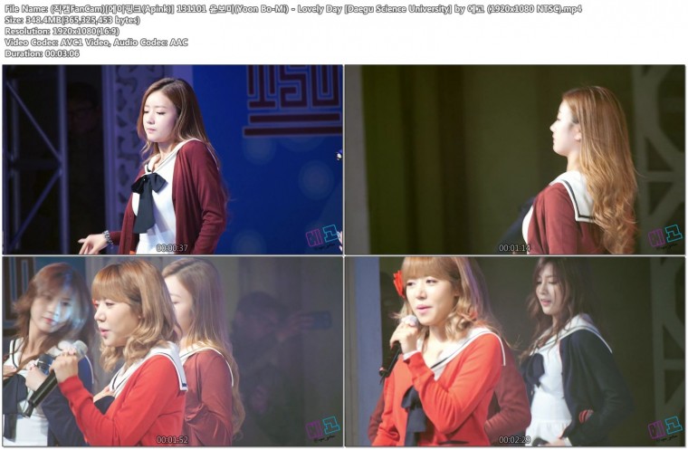 (직캠FanCam)[에이핑크(Apink)] 131101 윤보미(Yoon Bo-Mi) - Lovely Day [Daegu Scie.jpg