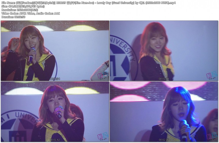 (직캠FanCam)[에이핑크(Apink)] 131105 김남주(Kim Nam-Joo) - Lovely Day [Gumi Univ.jpg