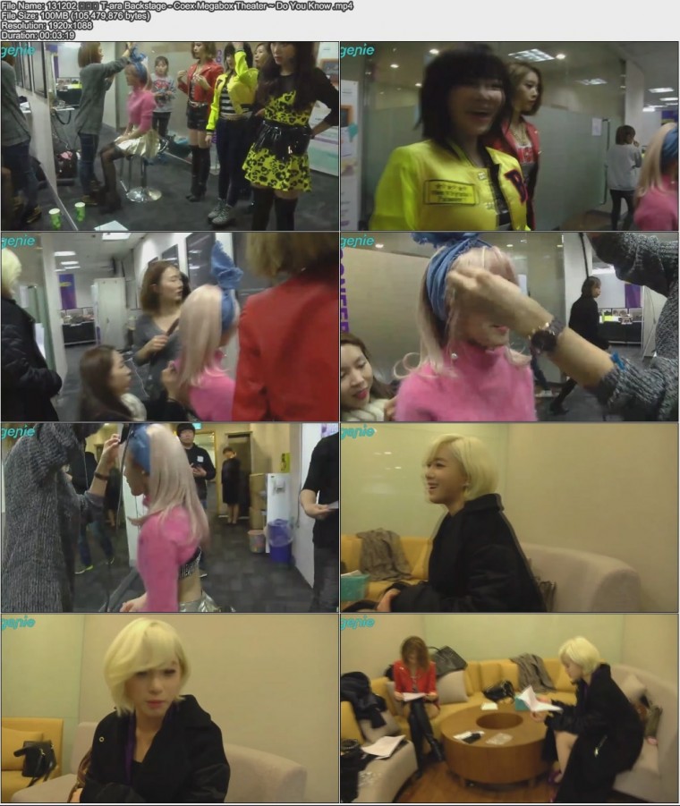 131202  T-ara Backstage - Coex Megabox Theater ~ Do You Know .jpg
