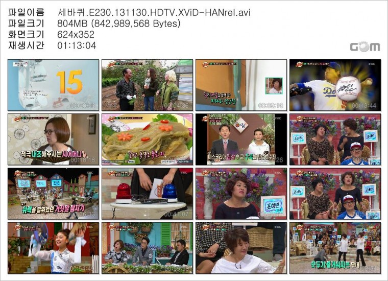 세바퀴.E230.131130.HDTV.XViD-HANrel.avi.jpg