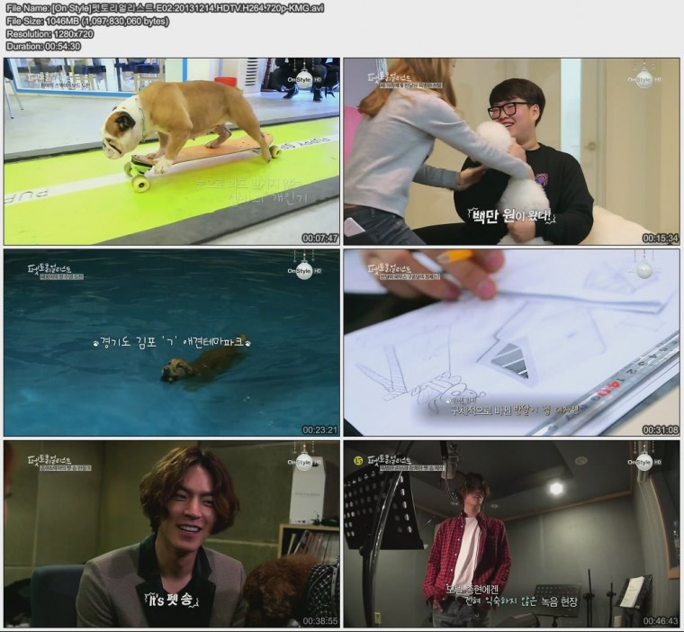 [On Style]펫토리얼리스트.E02.20131214.HDTV.H264.720p-KMG.jpg