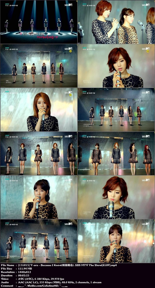 T-ara - Because I Know（特别舞台）.SBS MTV The Show.131015.1440x810p.jpg