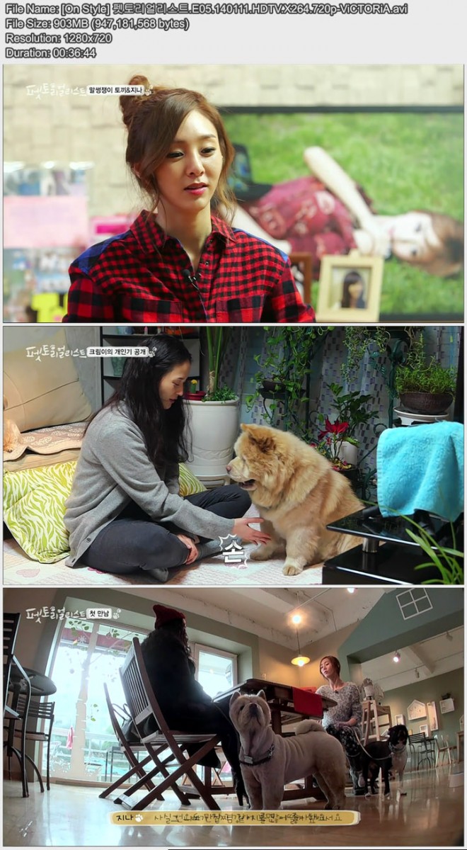 [On Style] 펫토리얼리스트.E05.140111.HDTV.X264.720p-ViCTORiA.avi.jpg