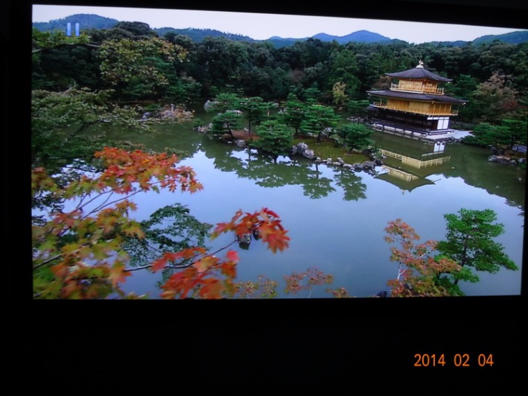 DSC02536_調整大小.JPG