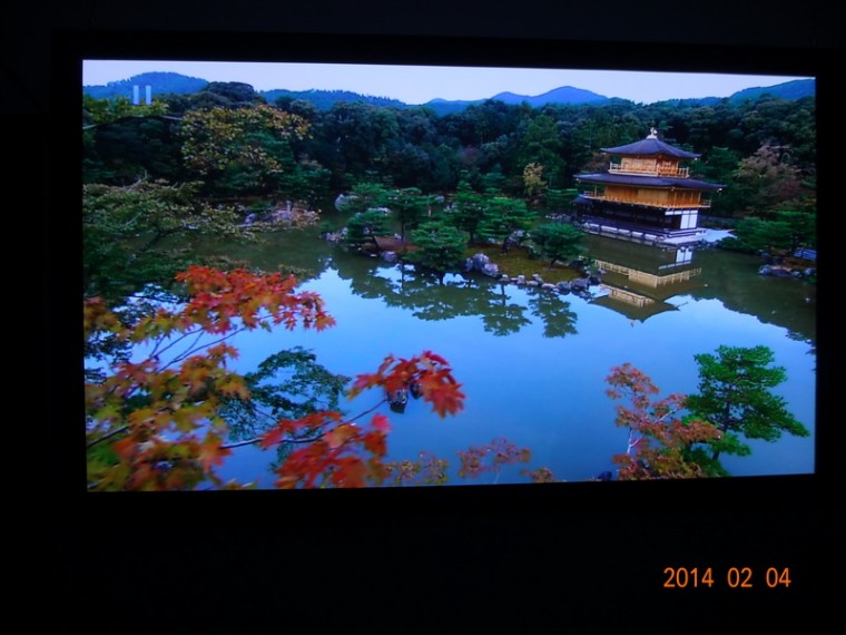 DSC02535_調整大小.JPG