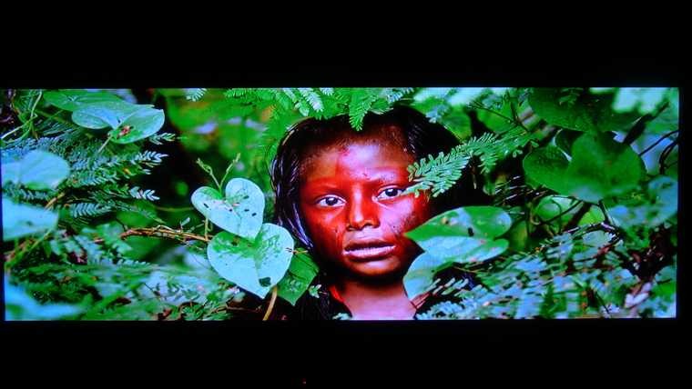 S360直進103D直播DARBEE 2.JPG