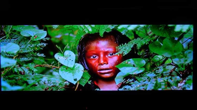 S360直進103D直播DARBEE 3.JPG