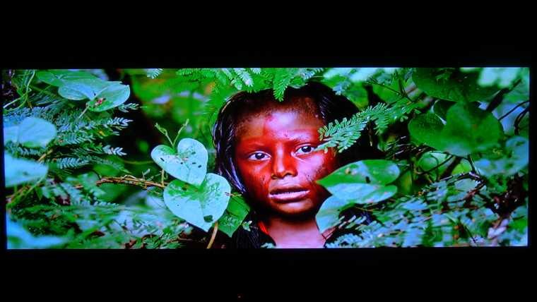 S360直進103D直播DARBEE 4.使用者.JPG