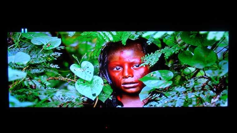 103D直播DARBEE 2.JPG