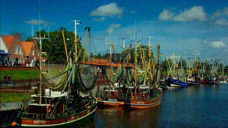 DSC02515_调整大小.jpg