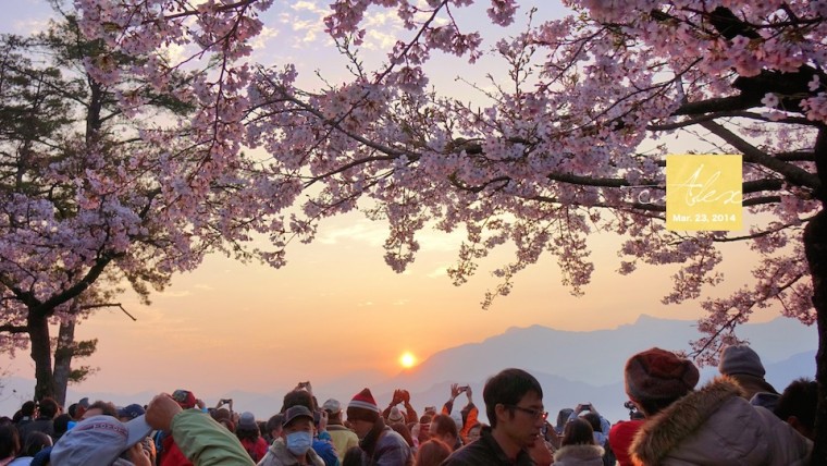 Cover20140323.jpg
