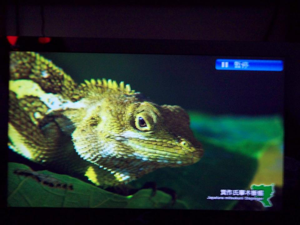 100_2181.JPG