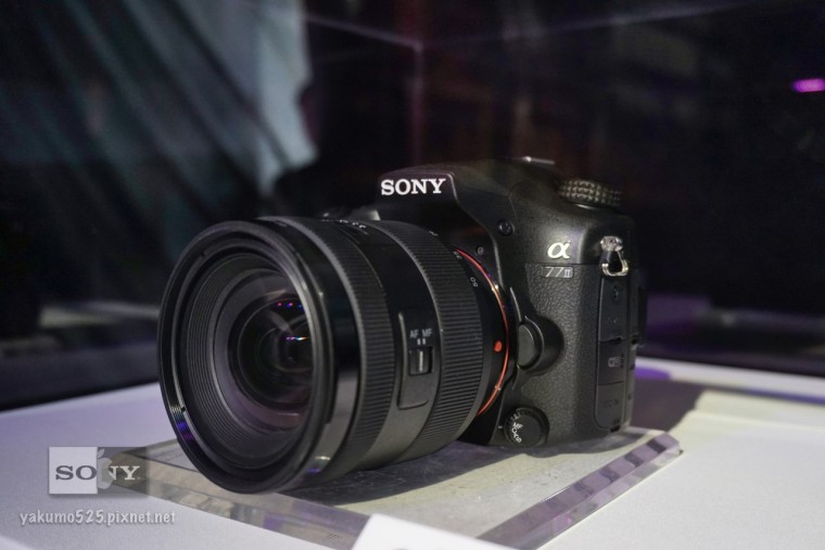 a77II_b.JPG