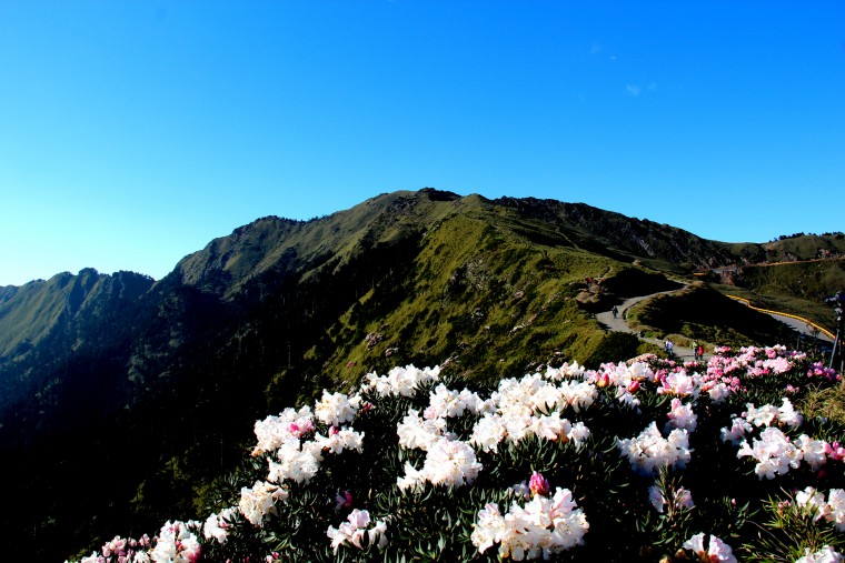 5月合歡山午後 (2).jpg