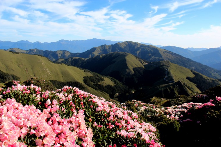 5月合歡山晨景 (15).jpg
