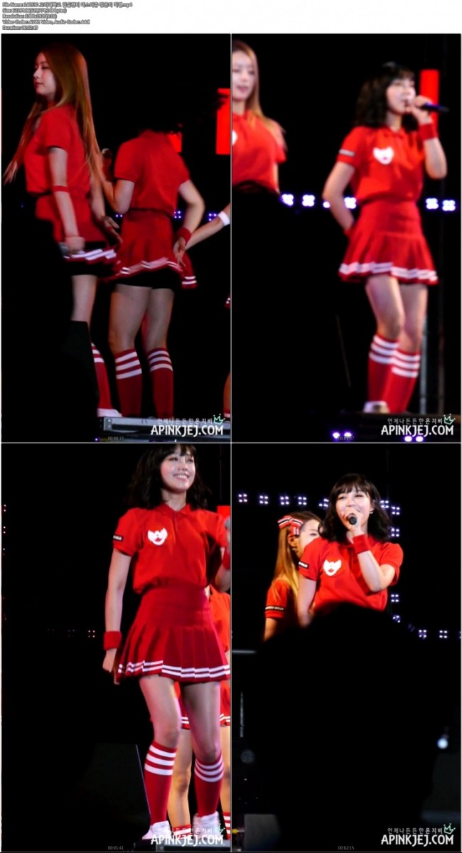 140530 고려대학교 입실렌티 미스터츄 정은지 직캠.mp4.jpg