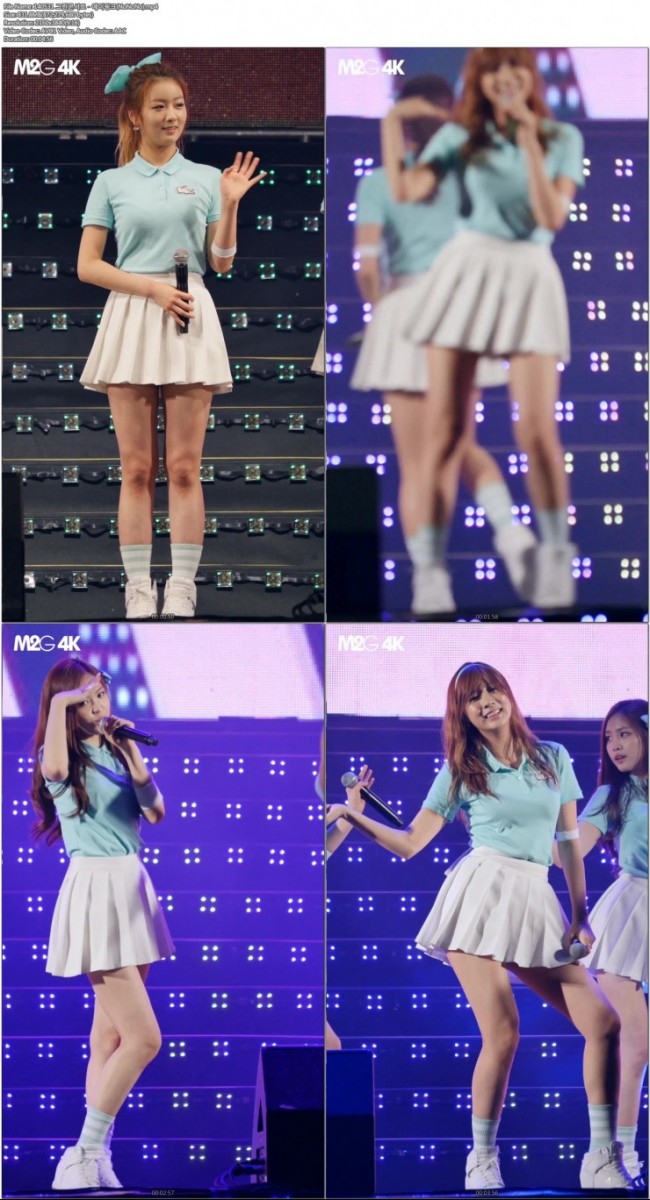 140531 서원밸리 그린콘서트 - 에이핑크 직캠 by M2G4K04.jpg