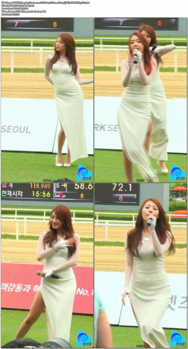 140601 Everyday Live concert 걸스데이 by ExE01.jpg