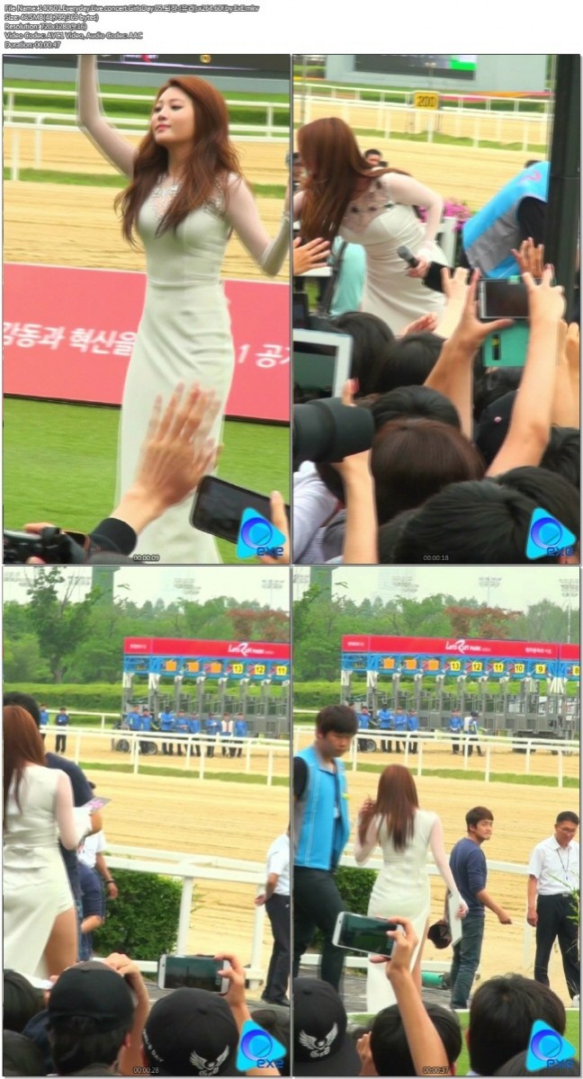 140601 Everyday Live concert 걸스데이 by ExE05.jpg