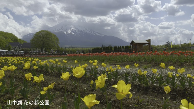 4K試驗電波-20140602首播-風景.ts_snapshot_01.22_[2014.06.06_03.52.01].jpg