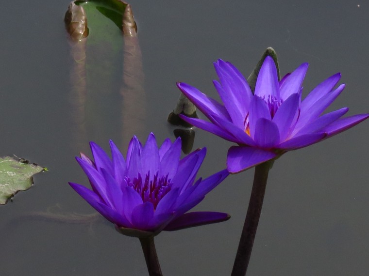 照片 030.jpg