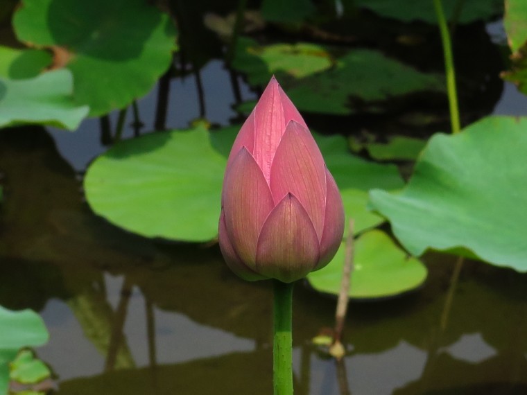照片 033.jpg