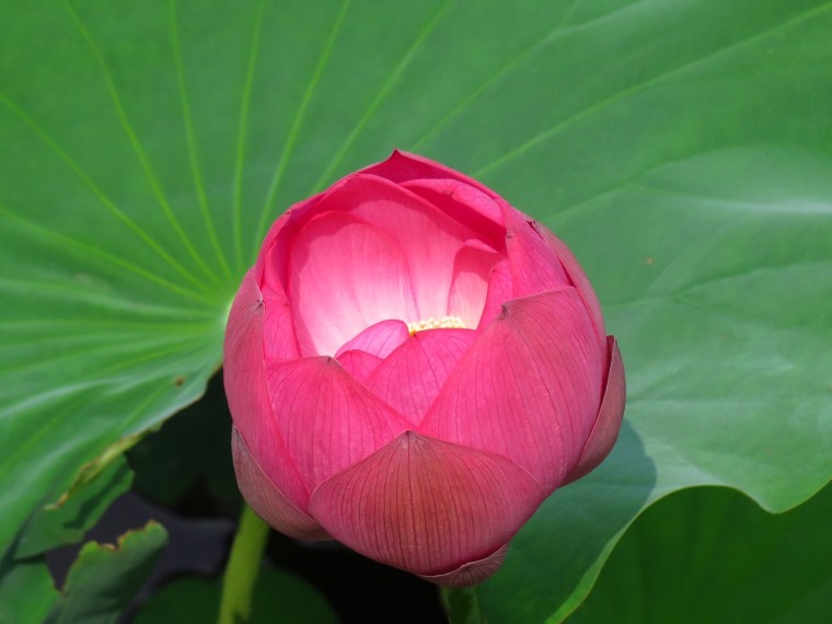 照片 034.jpg