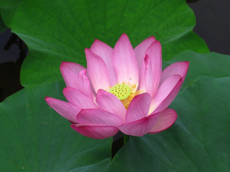 照片 039.jpg