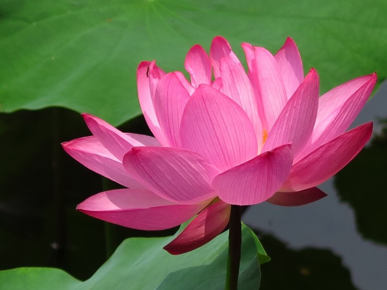 照片 066.jpg