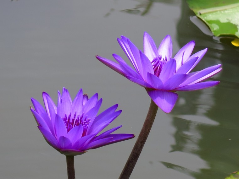 照片 068.jpg