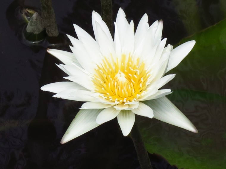 照片 025.jpg
