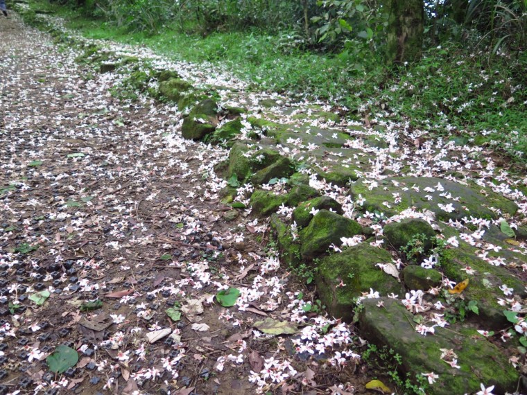 2014_0426_150315.jpg