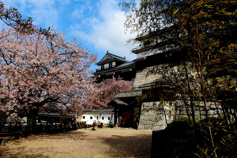 松山城 (1).jpg