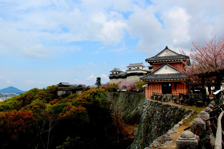 松山城 (3).jpg