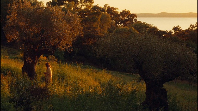 Renoir (5).jpg