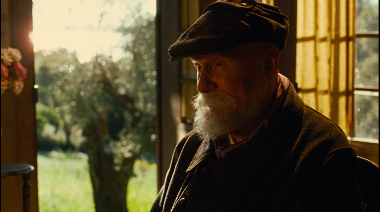 Renoir (8).jpg