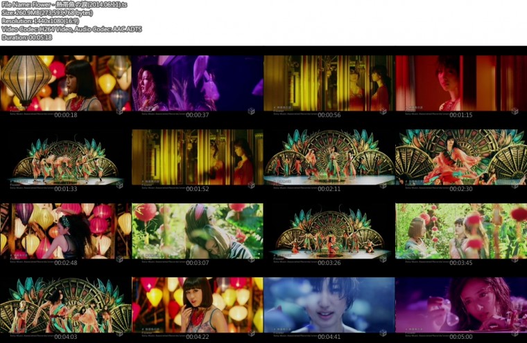 Flower - 熱帯魚の涙(2014.06.11).ts.jpg