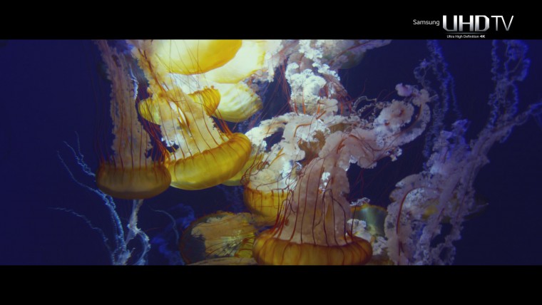 [三星专用.4K.演示片] H.265编码.变形金刚UHD_ENT_Transformer_Quad.24fps.ts_2014072.jpg