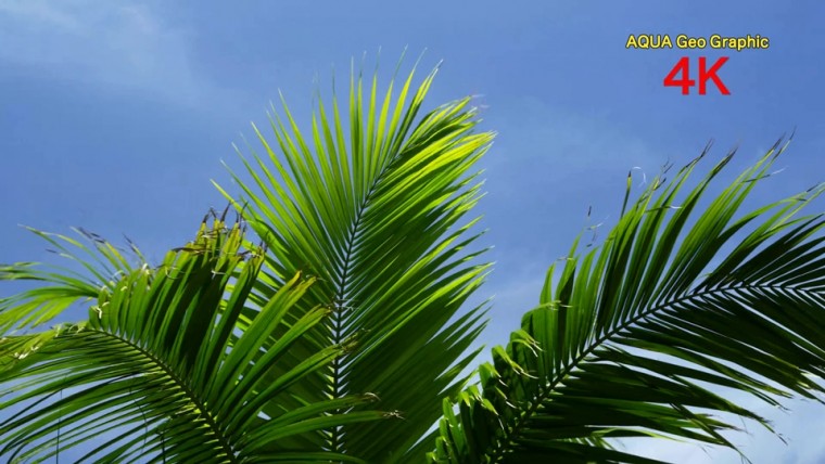 [4k高清演示片] 海与天BEACH FOOTAGE H.265 .mkv_000018.247.jpg