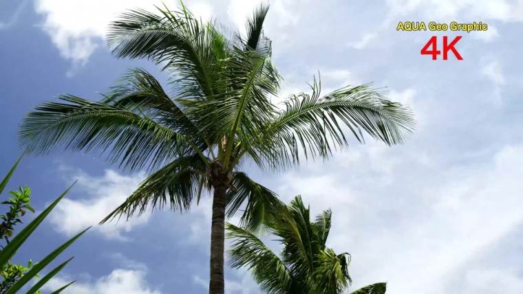 [4k高清演示片] 海与天BEACH FOOTAGE H.265 .mkv_000146.456.jpg