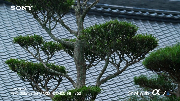 [索尼.4K.演示片] 全帧感光相机Sony A7s Full-Frame Sensor Camera- 4K Video Demo co.jpg