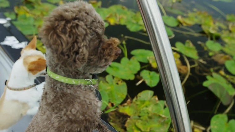 [4K超清演示片] 滑水运动.mp4_000210.328.jpg