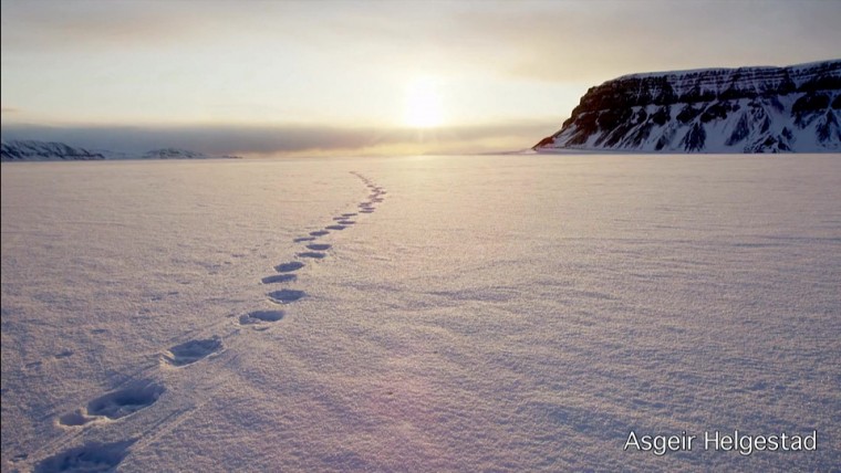 [高清演示片] 斯瓦尔巴特群岛Svalbard Christmas card NRK.mp4_000038.335.jpg