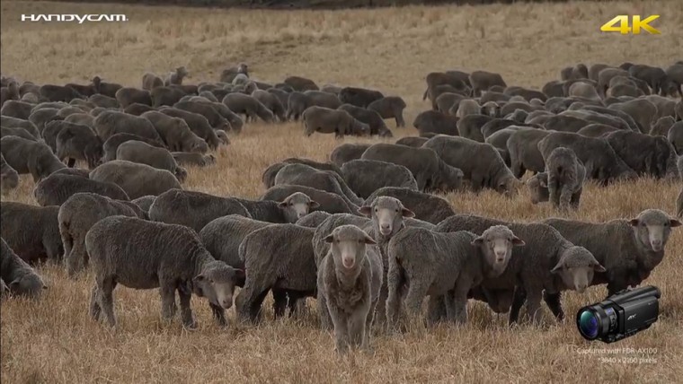 [索尼.4K.演示片] 索尼“掌中”4K FDR-AX100 样片.mp4_20140814_204348.109.jpg