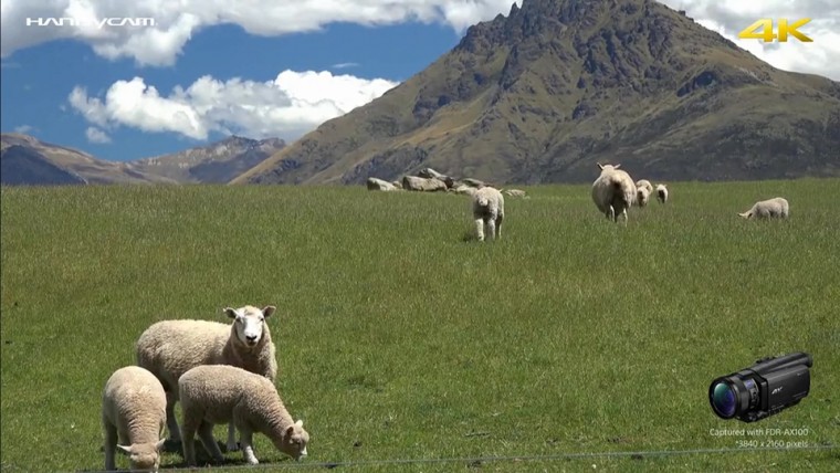 [索尼.4K.演示片] 索尼“掌中”4K FDR-AX100 样片.mp4_20140814_204453.156.jpg