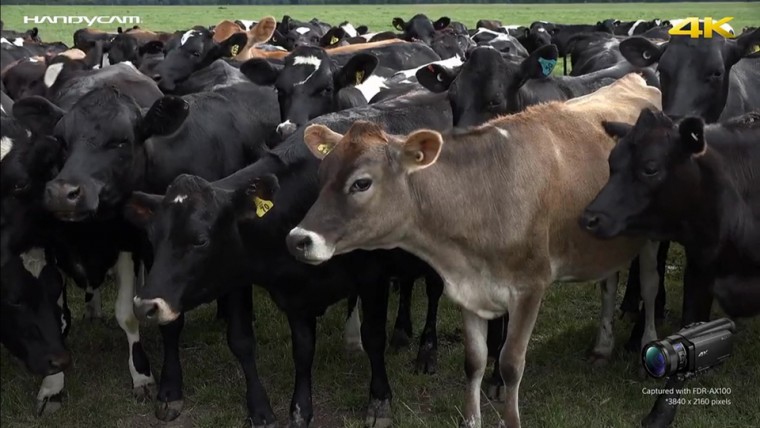 [索尼.4K.演示片] 索尼“掌中”4K FDR-AX100 样片.mp4_20140814_204509.531.jpg