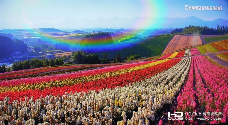 帶狀連綿不絕的各色花卉，加上亮閃閃的彩虹，彷彿仙境一般。